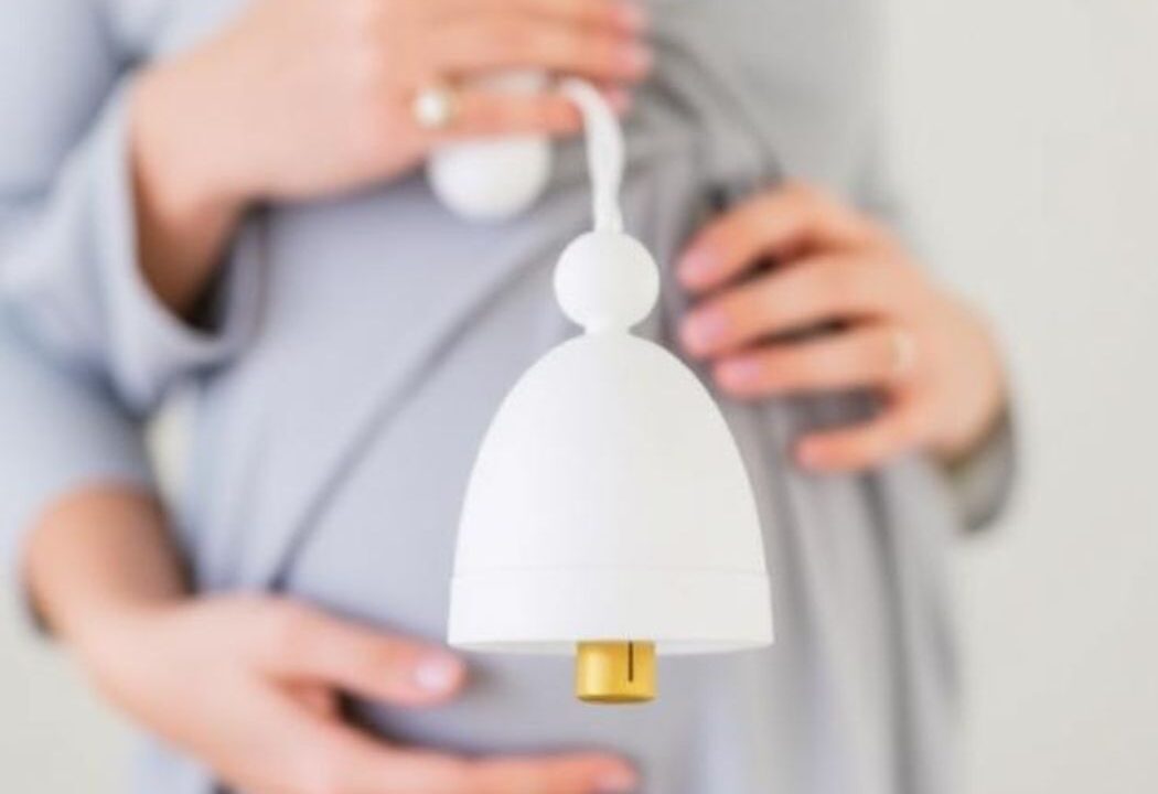 Babybelletje: The Ultimate Guide to the Dutch Pregnancy Bell & Internet Trend