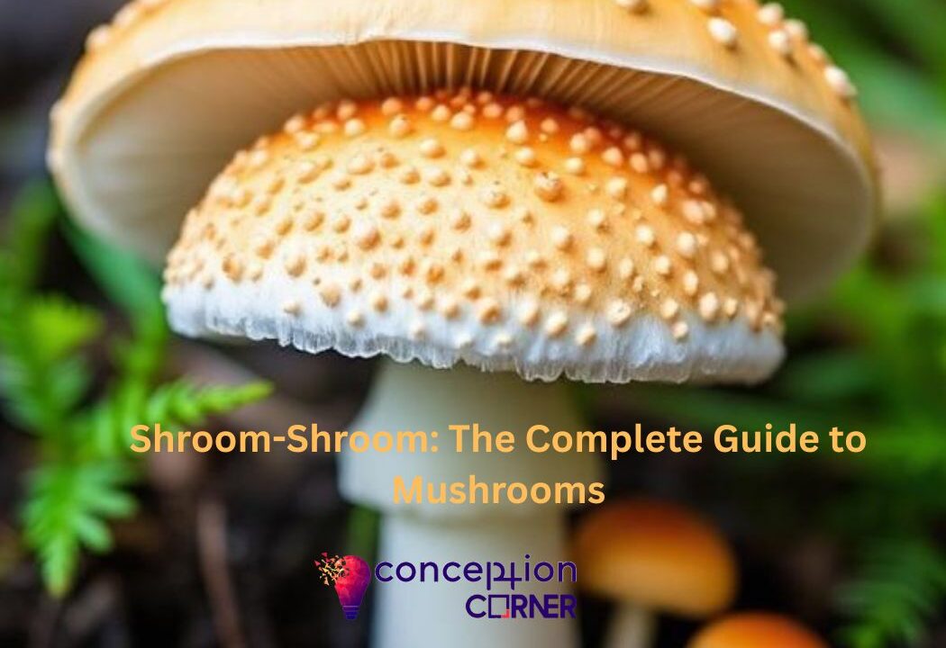 Shroom-Shroom: The Complete Guide to Mushrooms