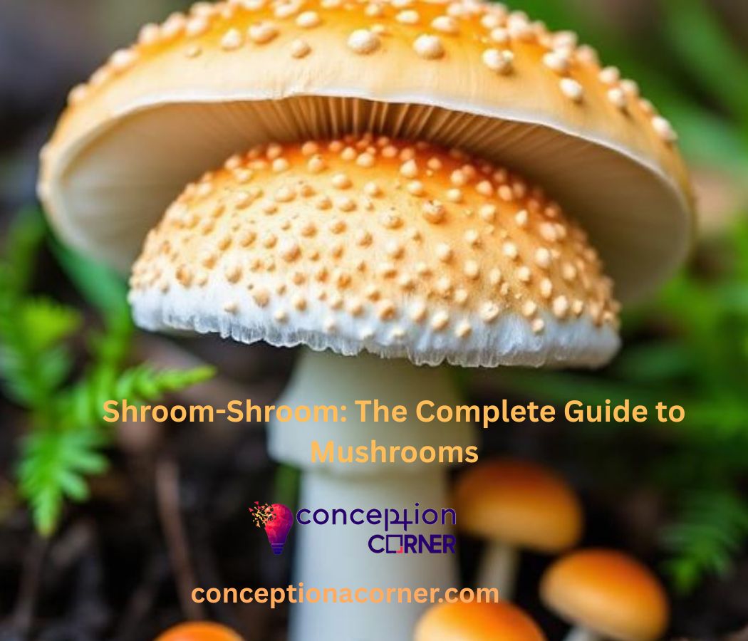 Shroom-Shroom